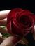 Maram