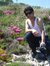 Aref