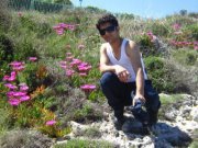 Aref
