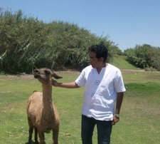 Mohamed Aslan