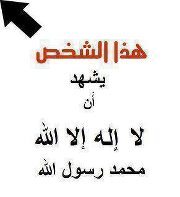 ابوعبدالله