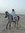 Mubark