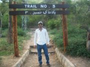 Shabi