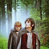 Rup
