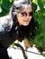 Anchal