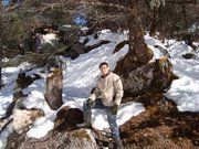 Amrit