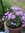 Kaye | 1 comments