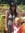 Amy Demars