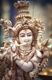Subbu
