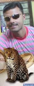 Vivek