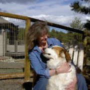 Shannon