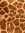 burnthegiraffe