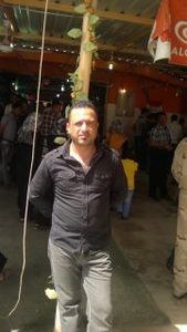 داود