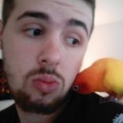 Joe