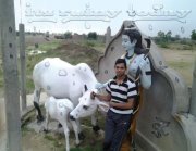 Vijay