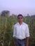 Amol