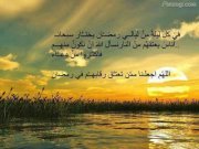 hadeer
