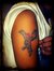 Nikesh