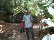 Vimukthi