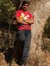 Dilip