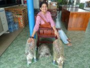 Anuradha