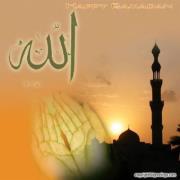 Syed