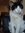 Casey (tomcasey) | 104 comments