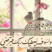 Mohamed