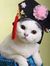 Juby