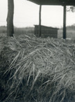 Goodreads profile picture for @haystack