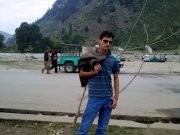 Shoaib Ali