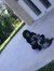 Mouna