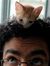Taher