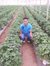 Youssef