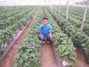 Youssef