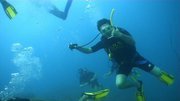 Vikesh