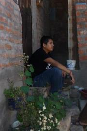 David