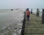 Anil