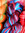 Soso (soso-alaa) | 5 comments