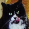 Catina