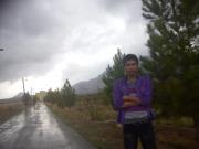 Masoud