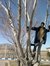 Kazem