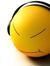 Amol
