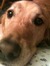 Amy
