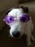 Jethro