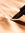 Zohra (zohra419) | 1 comments