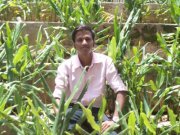 Mangesh