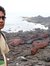 Gaurav