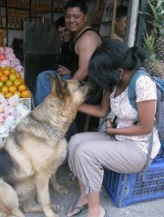 Divya