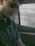 Fazal